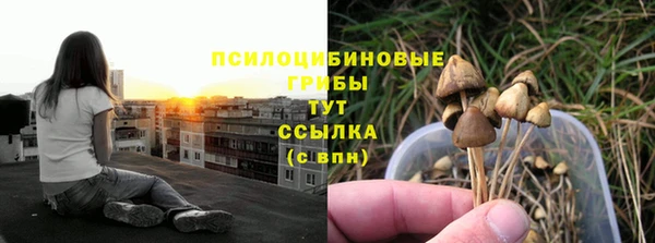 амфетамин Богородицк